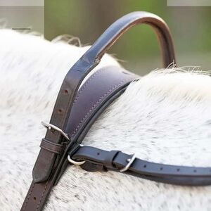 Correct Connect Double Neck Strap Brown Size Full